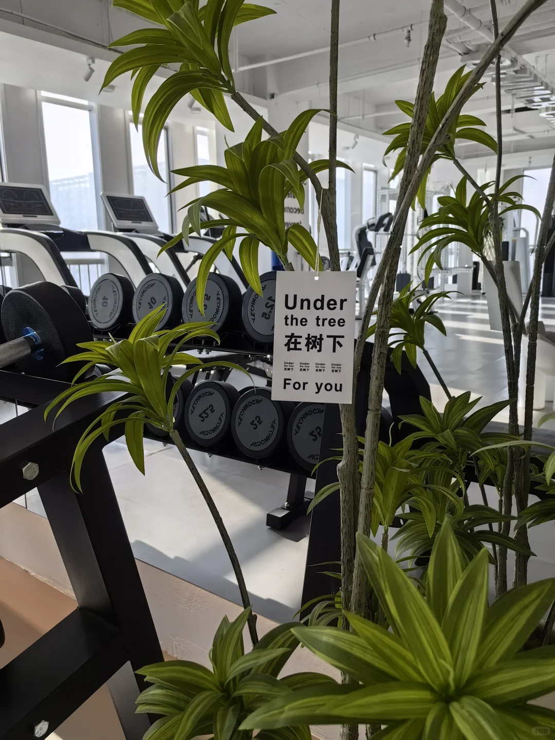 呼市女教练一人一馆健身日常