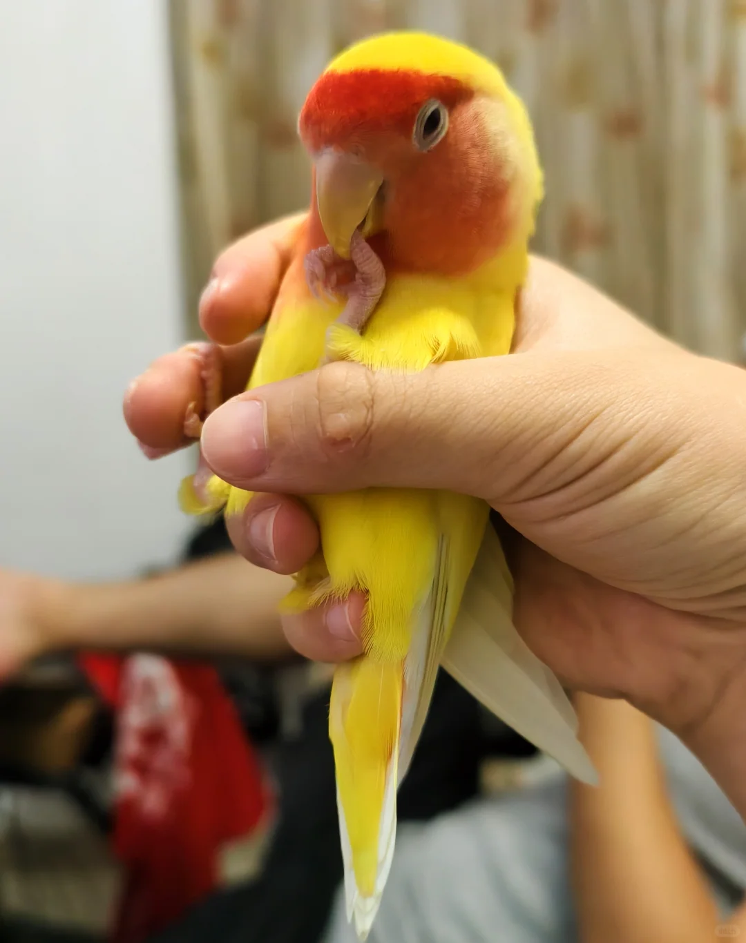 快进到媚眼如丝