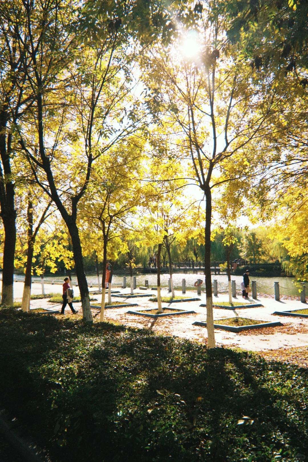 秋天就是属于幸福的季节🍂