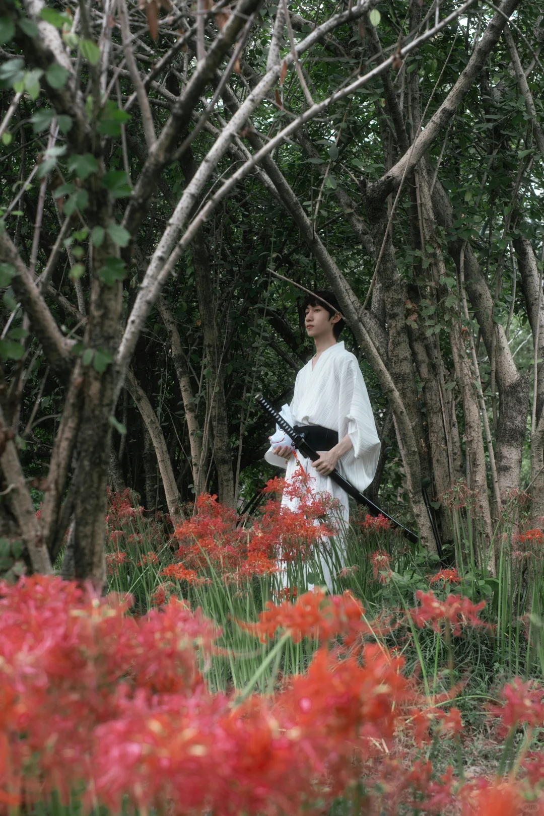 “溺花问夏 锁山吻秋”