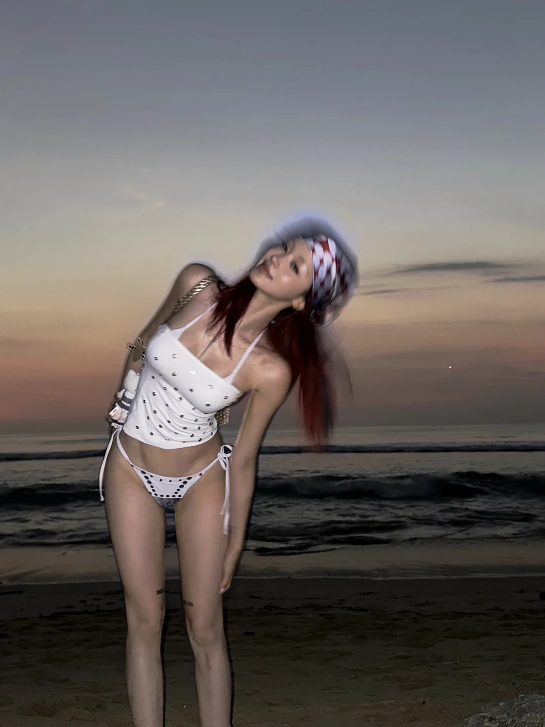 dreamland上的小狗一家我都混熟了!!