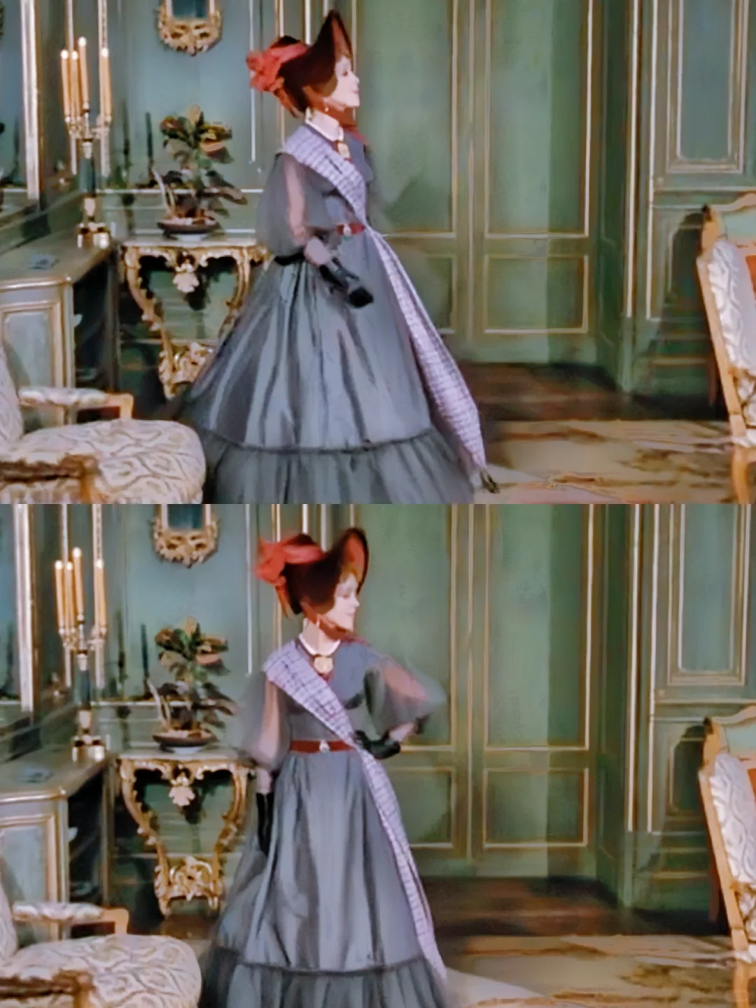 娇艳欲滴的虞美人