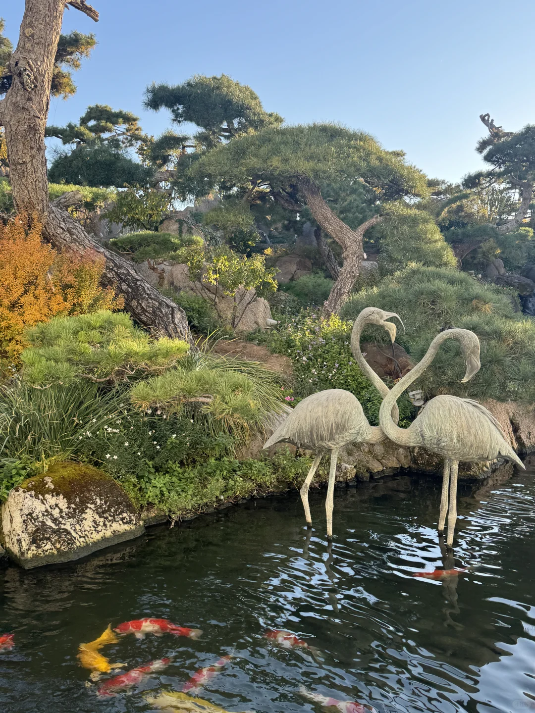 🦢在天然氧吧的下午茶