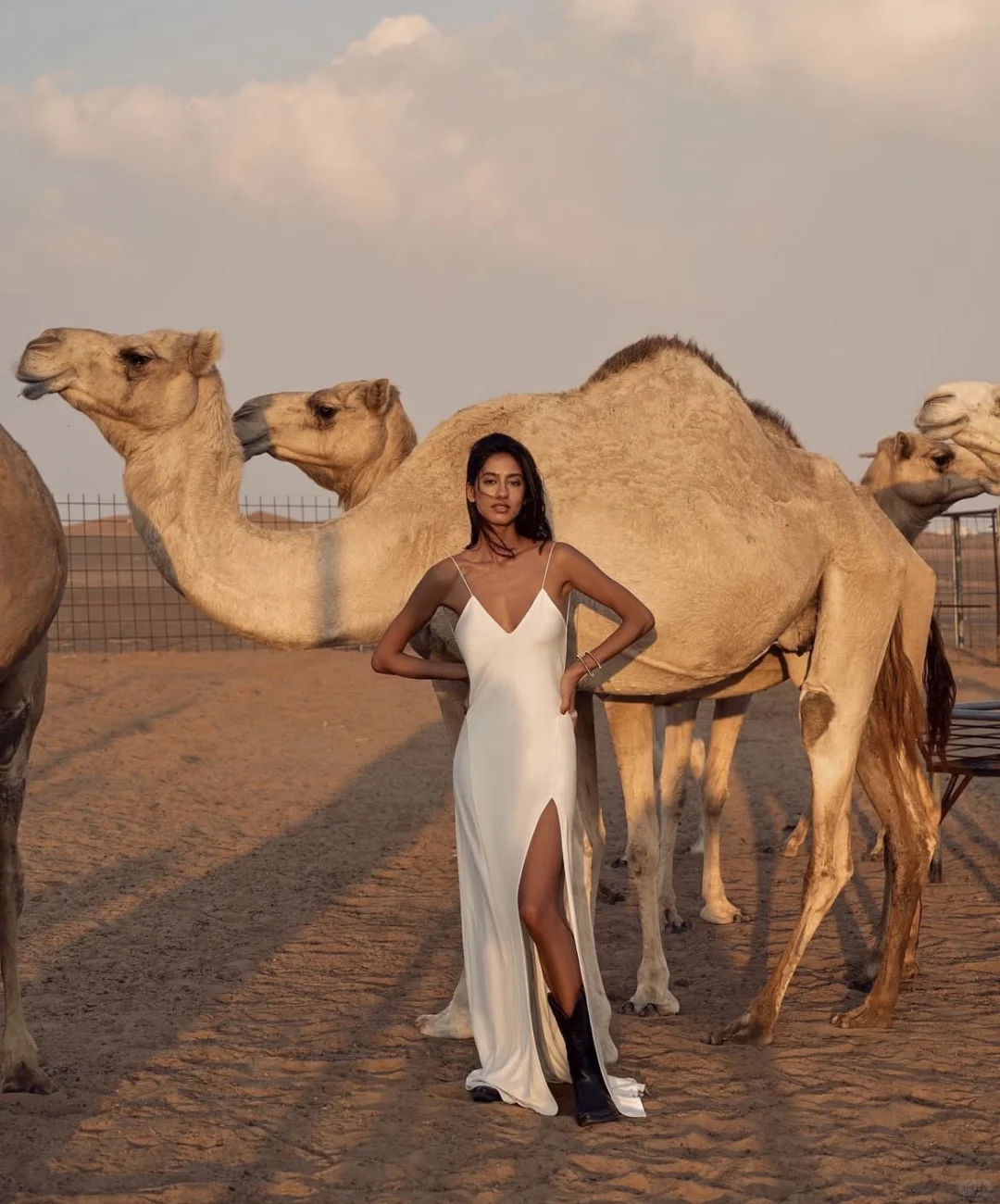 这混血比例太犯规了