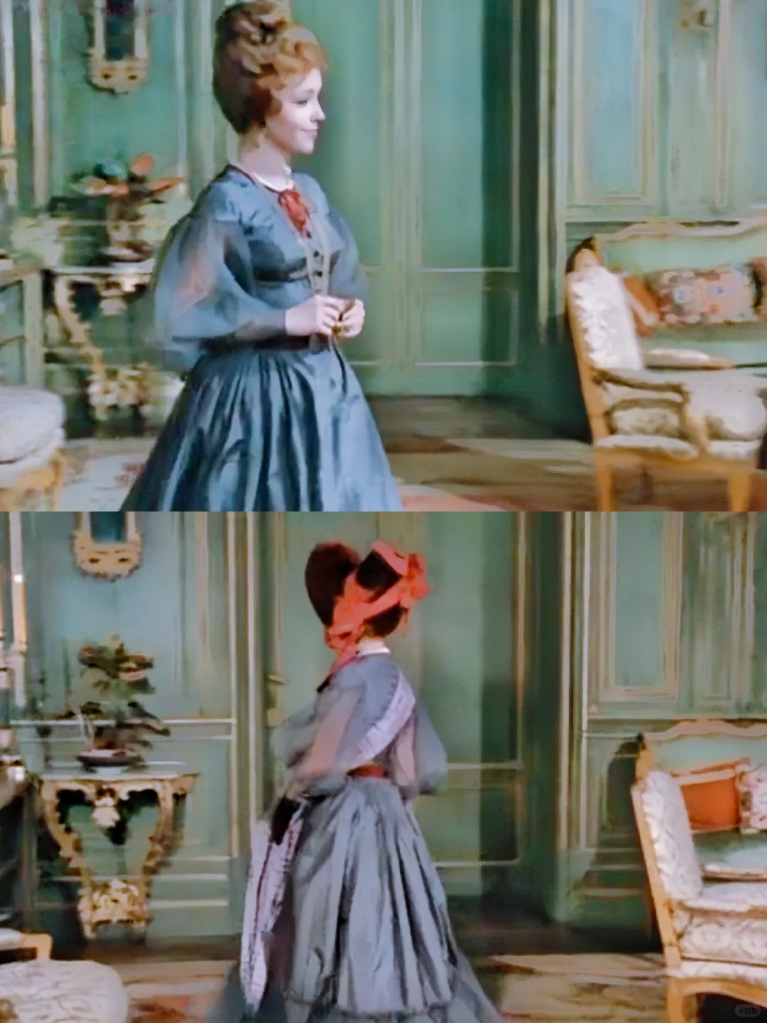 娇艳欲滴的虞美人