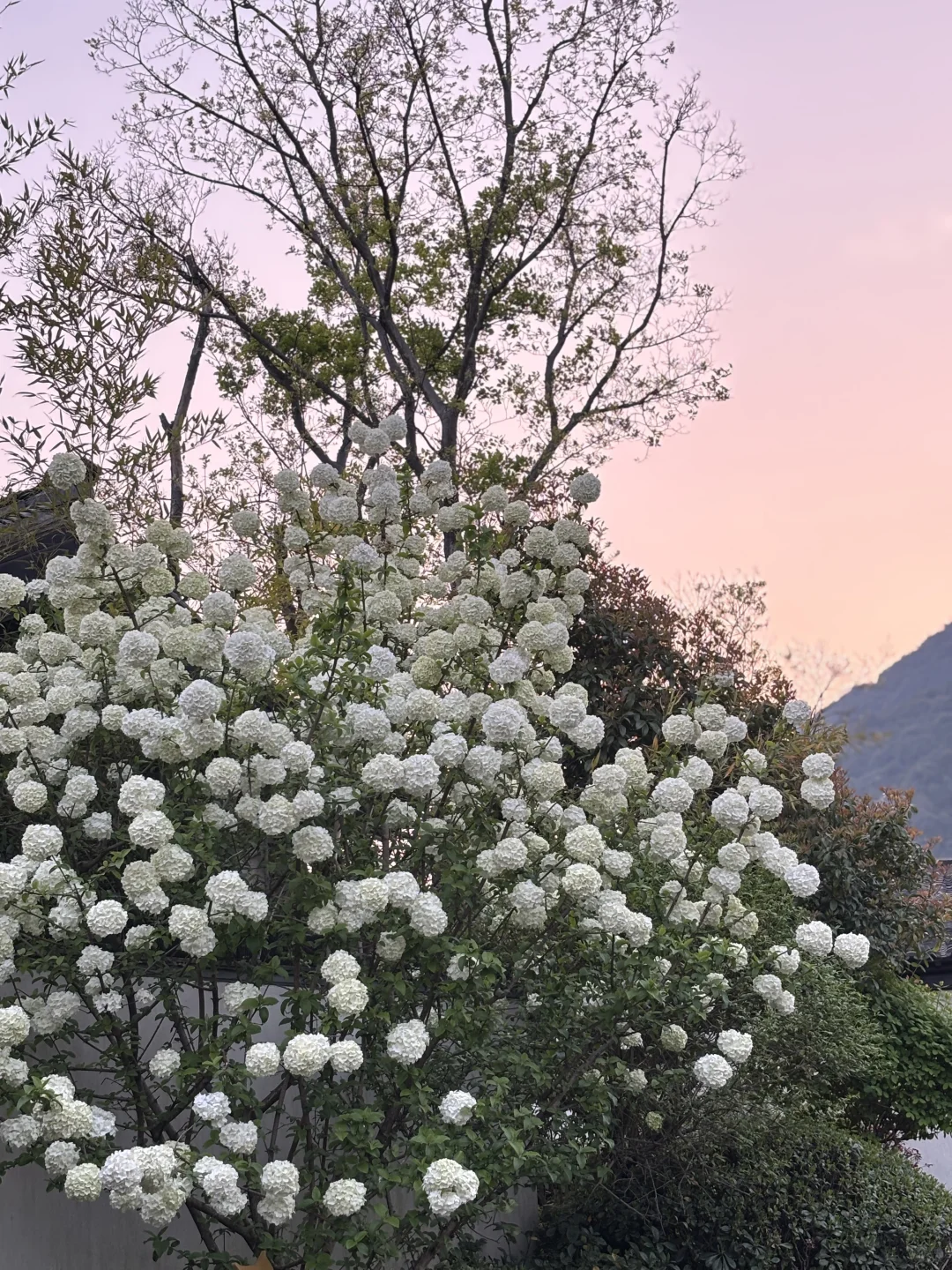 这一次 我们女孩子在一起跳舞绘画聊聊彼此