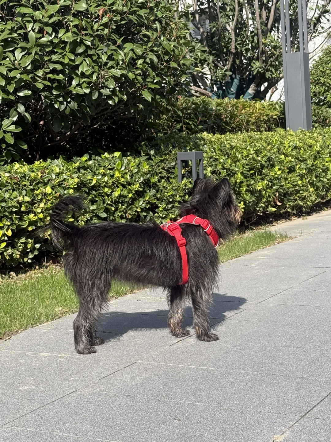 峡谷红，也不错。我们黑皮就要妖艳的颜色