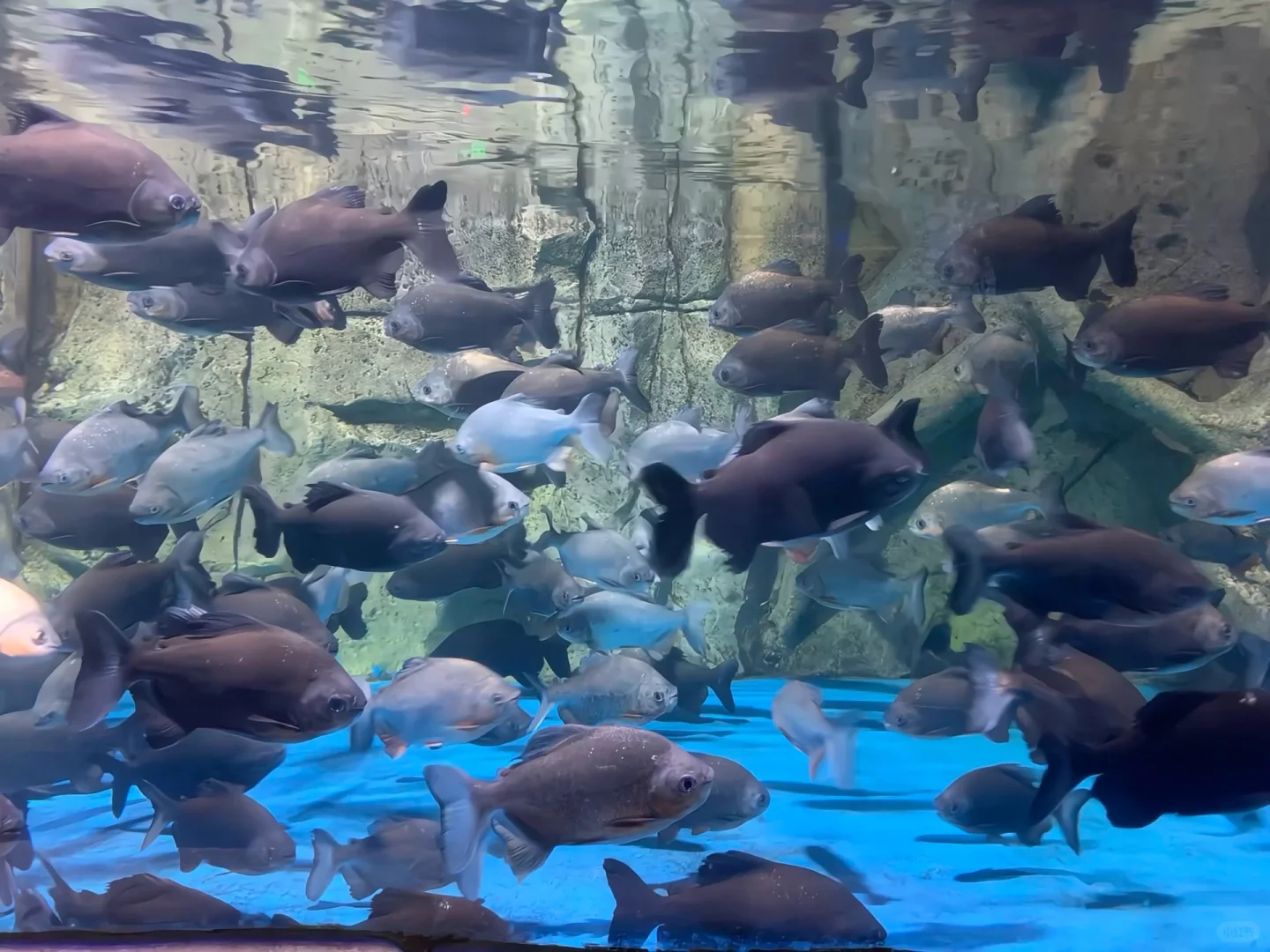 ISFJ 03女大｜当我开始享受我的大四校园生活