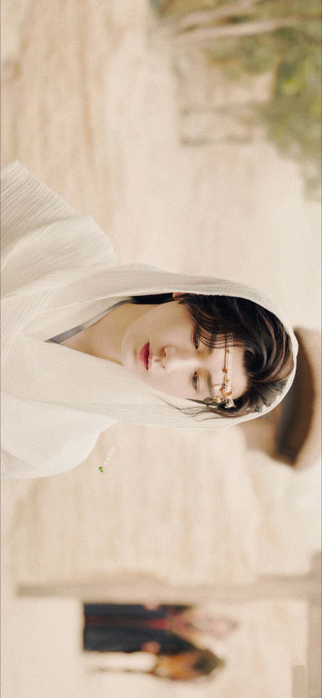 传说西西域来了一位神仙美人