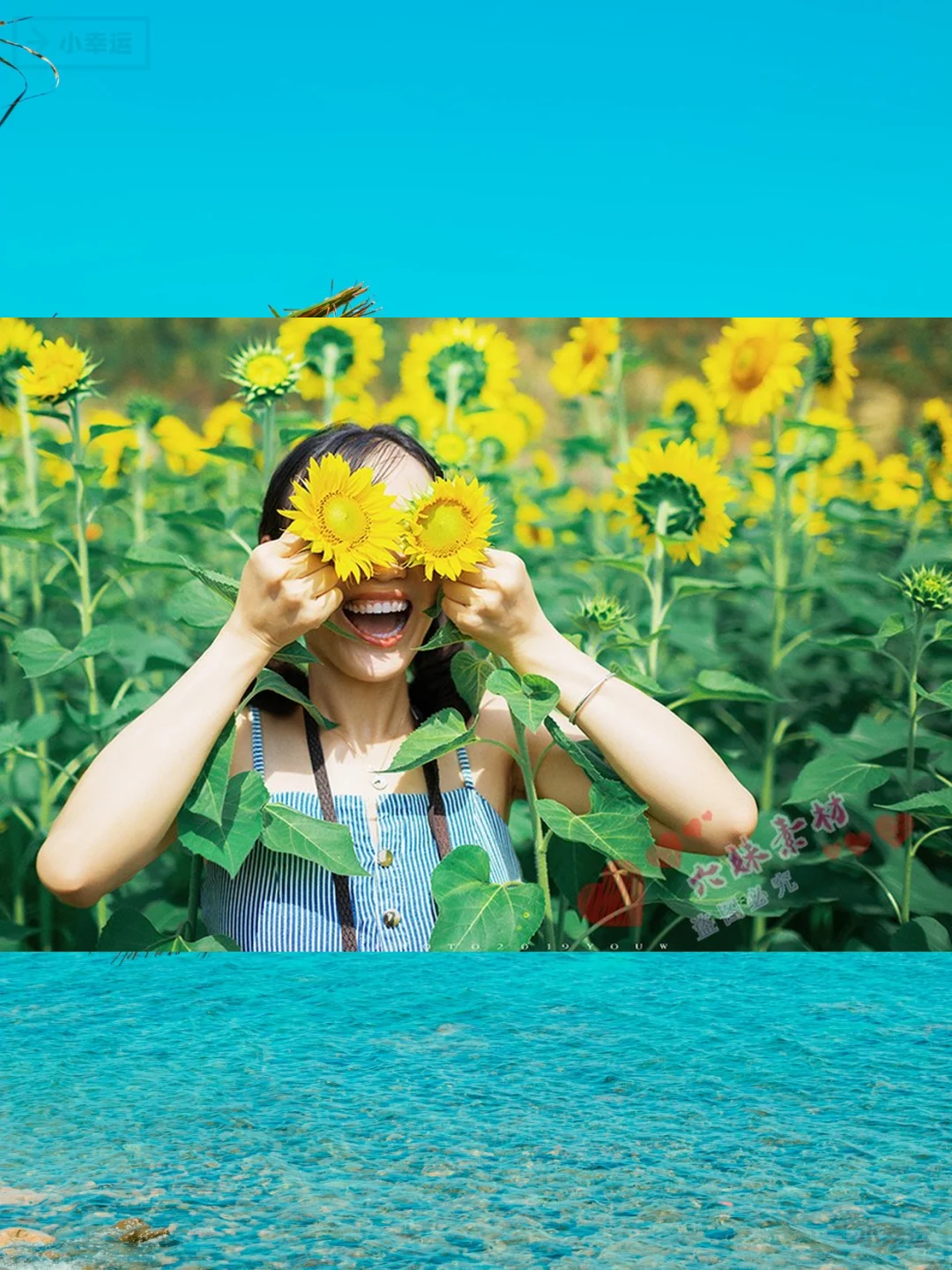 4K高清向日葵图片素材下载绝美花海壁纸