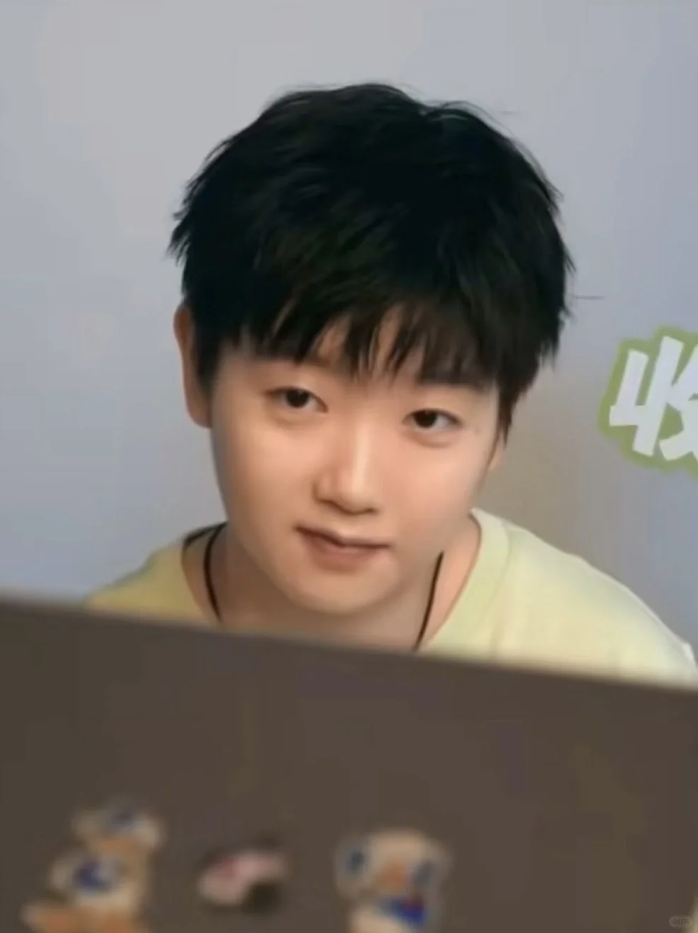 莎莎的东方美人