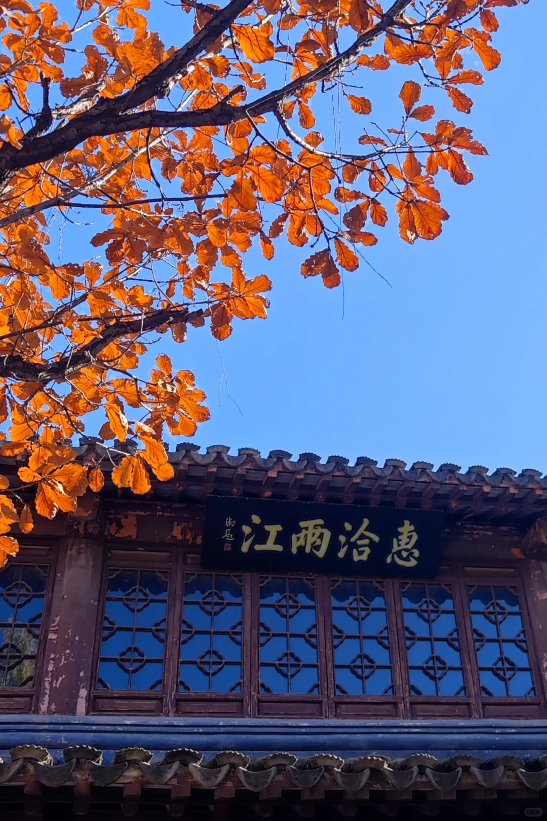 北平之秋，这颜色妖艳的完全不用加滤镜