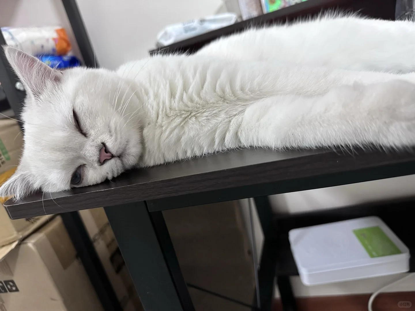 媚眼如丝→鬼迷日眼