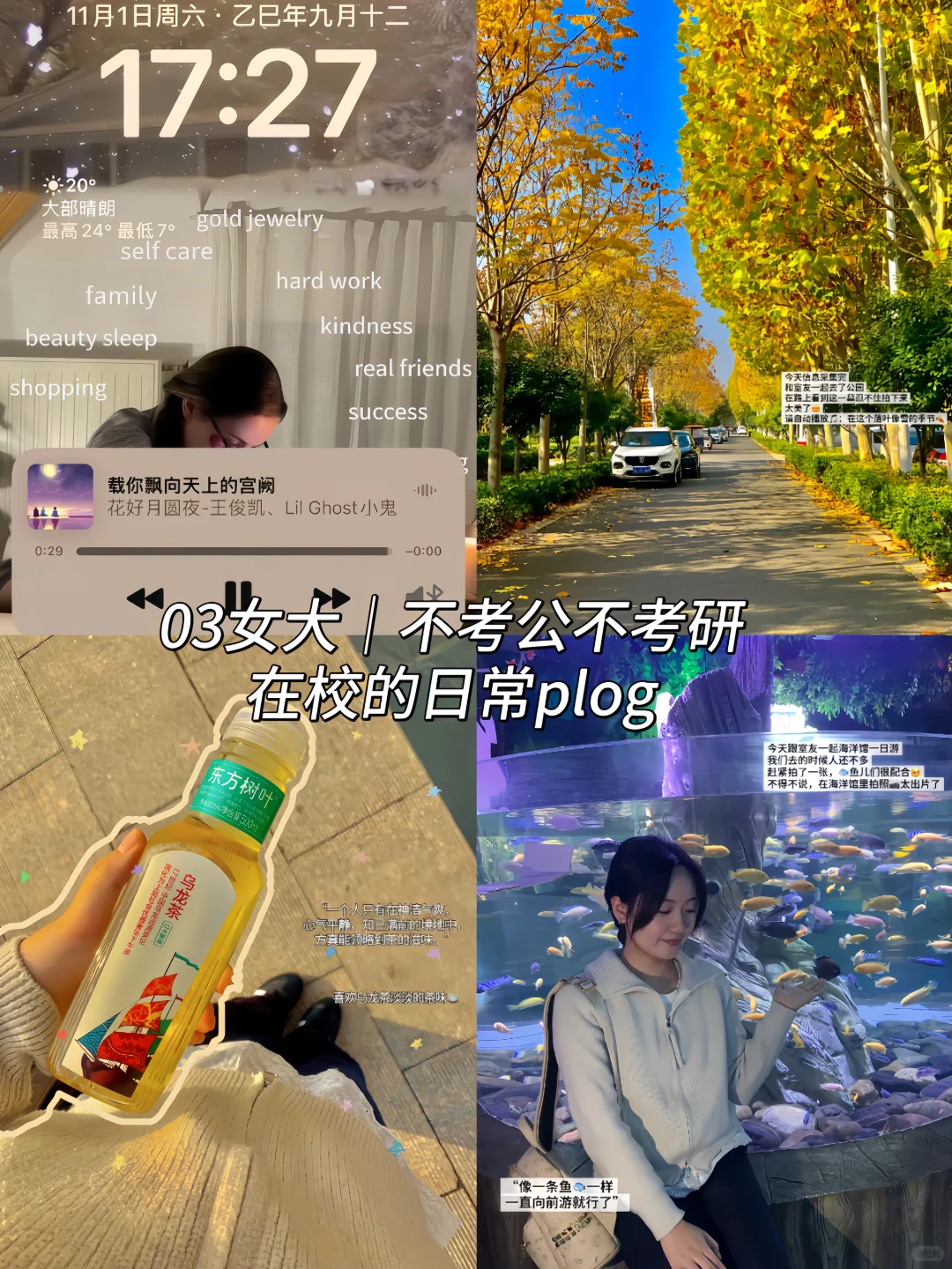 ISFJ 03女大｜当我开始享受我的大四校园生活