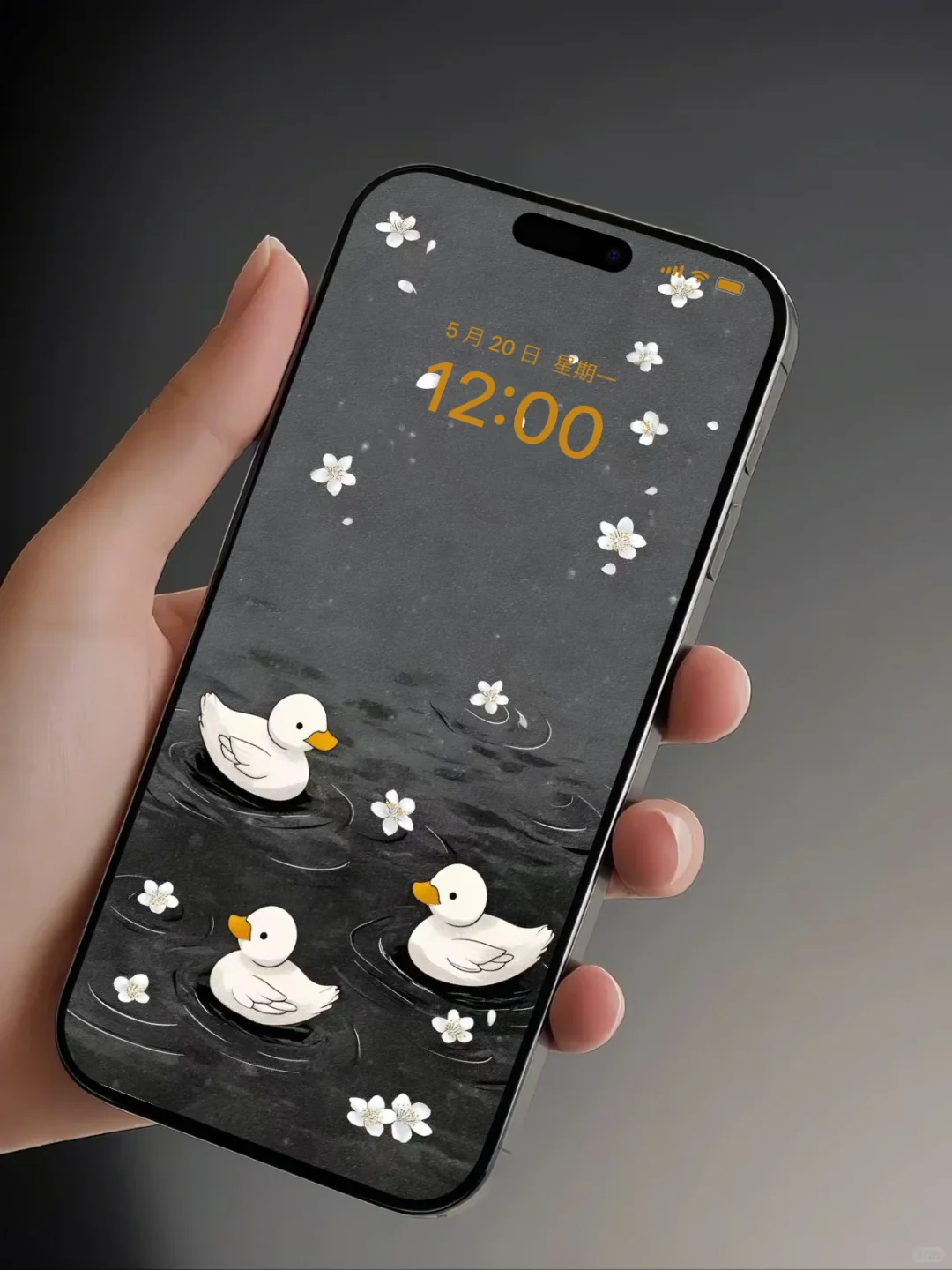 手机壁纸｜小鸭子