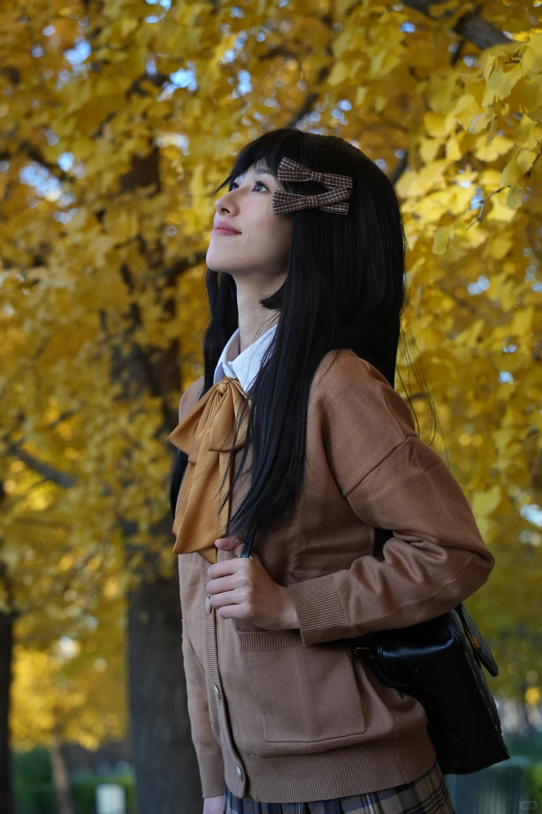 来和我一起赏 北平的秋吧