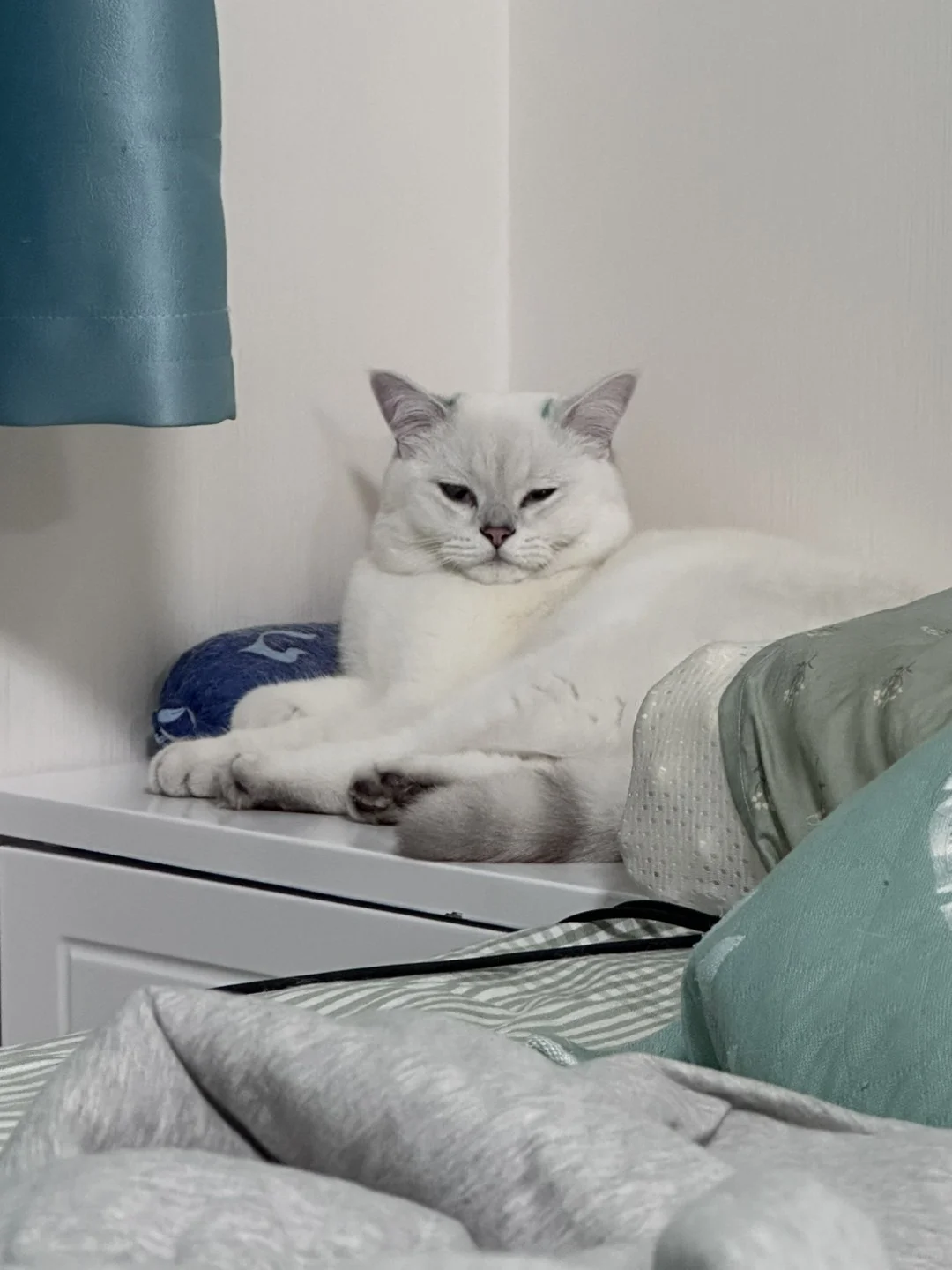 媚眼如丝→鬼迷日眼