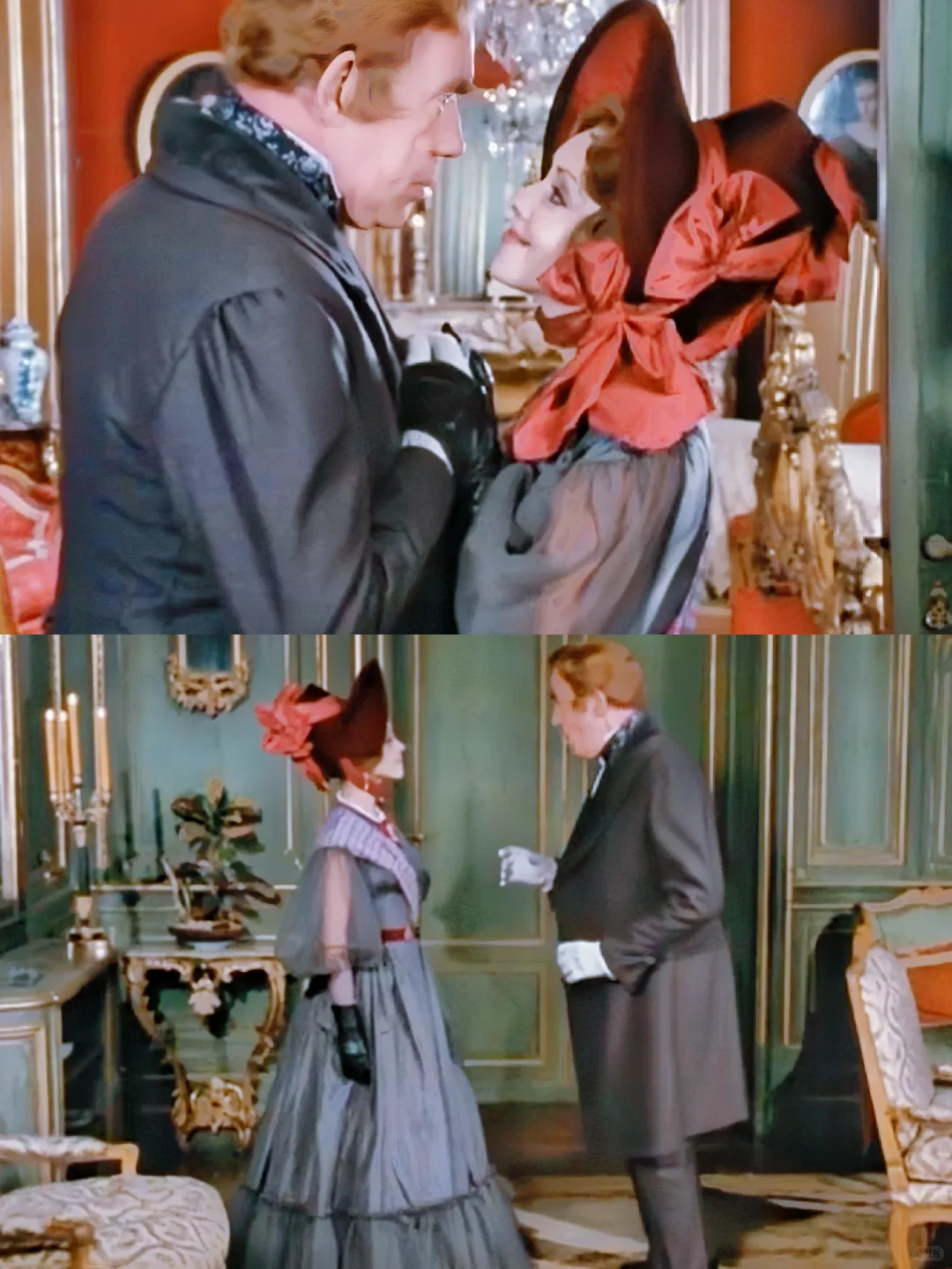 娇艳欲滴的虞美人