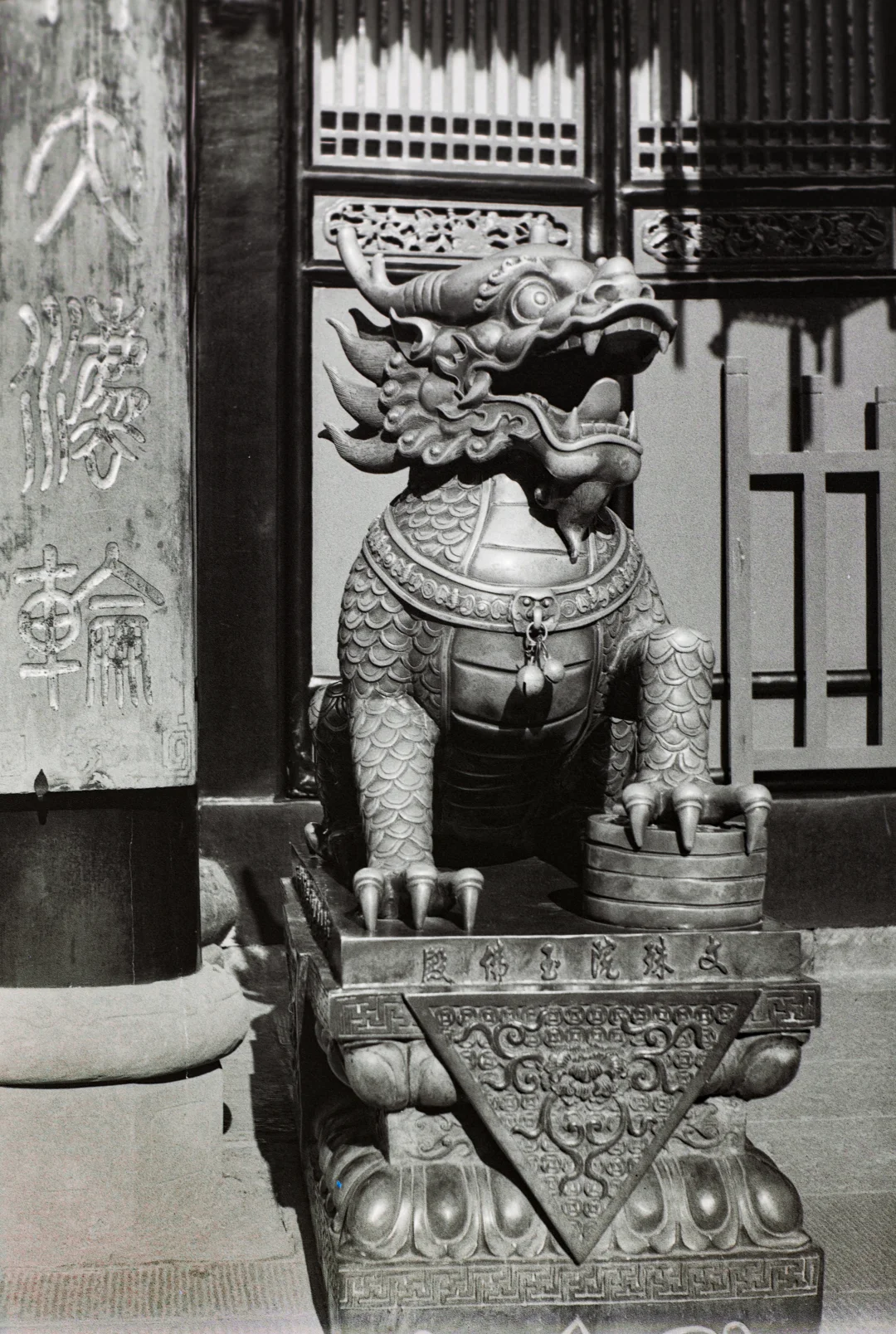 50岁的胶片浪漫：岁月从不败美人，只让她更