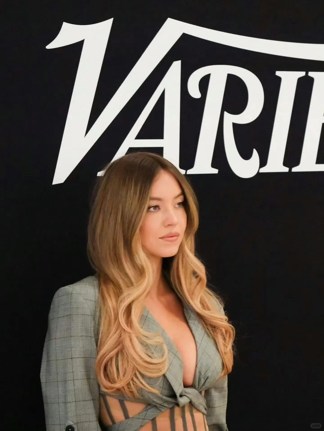 悉尼妹-纯主观格莱美预测