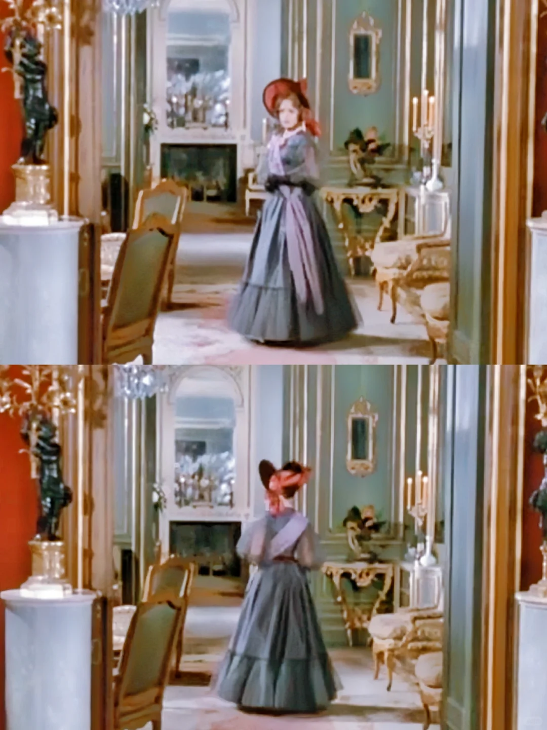 娇艳欲滴的虞美人