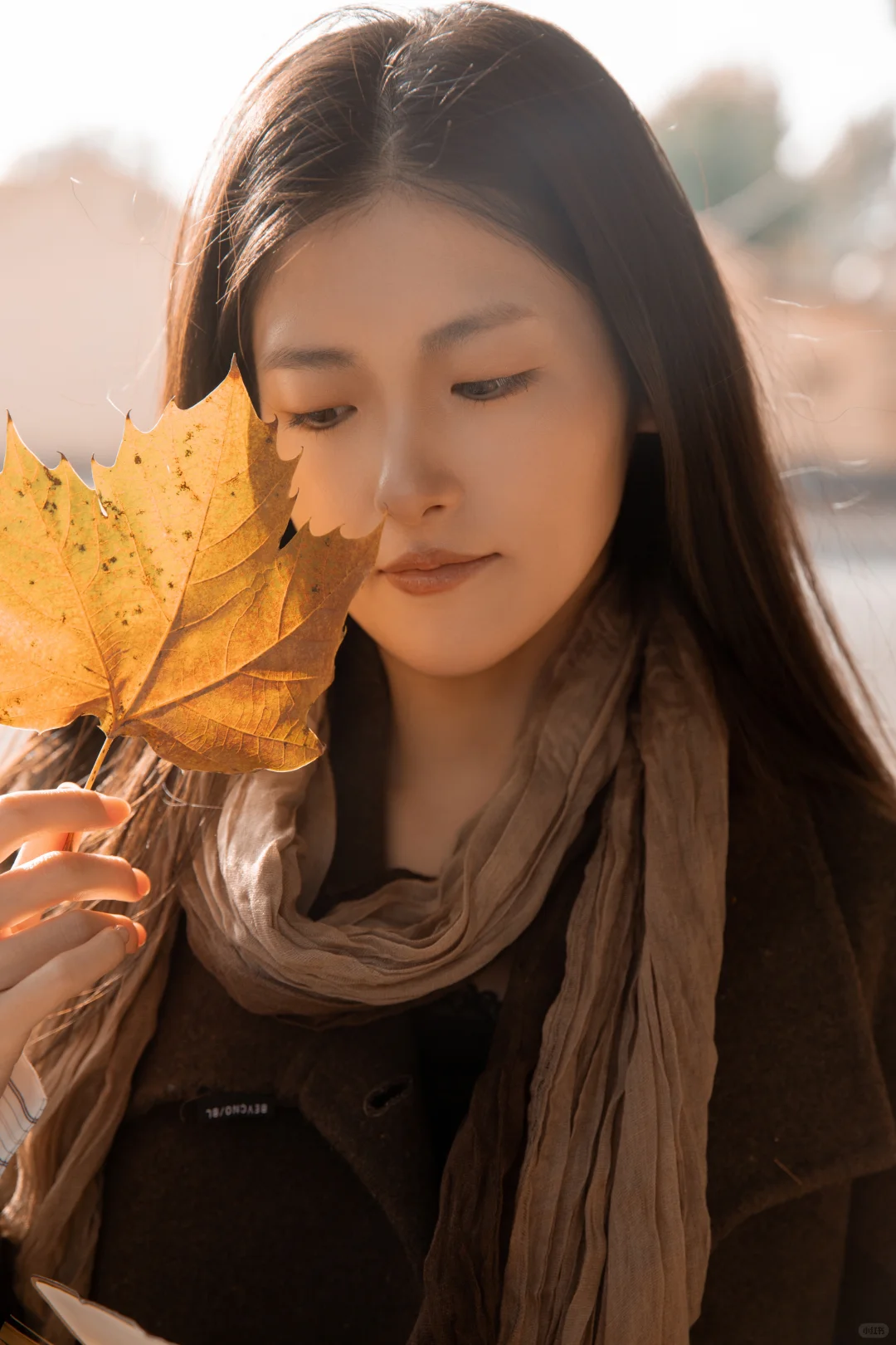 我靠，县城来了位女作家 |，午后定格