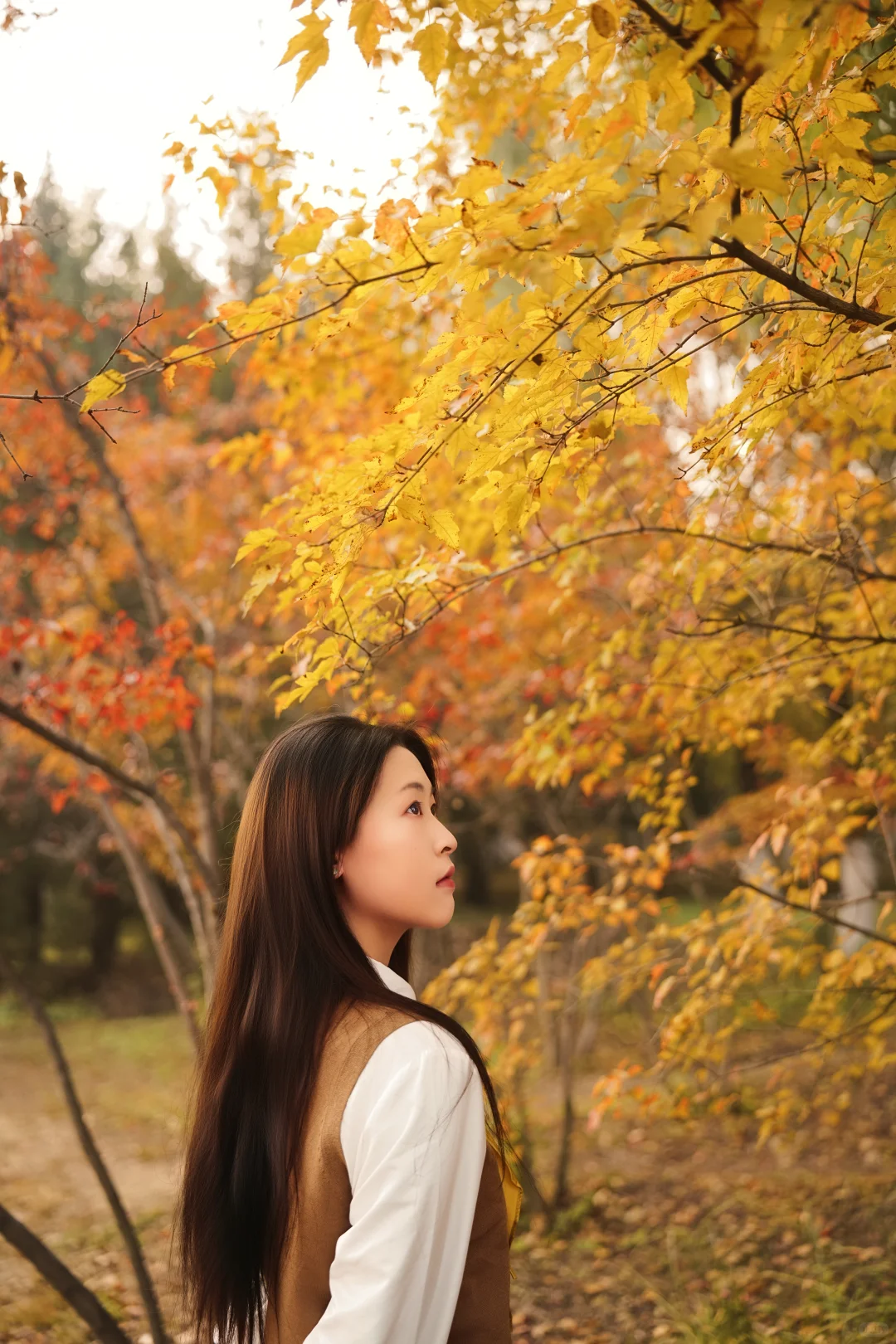 秋日JK少女与银杏的浪漫邂逅