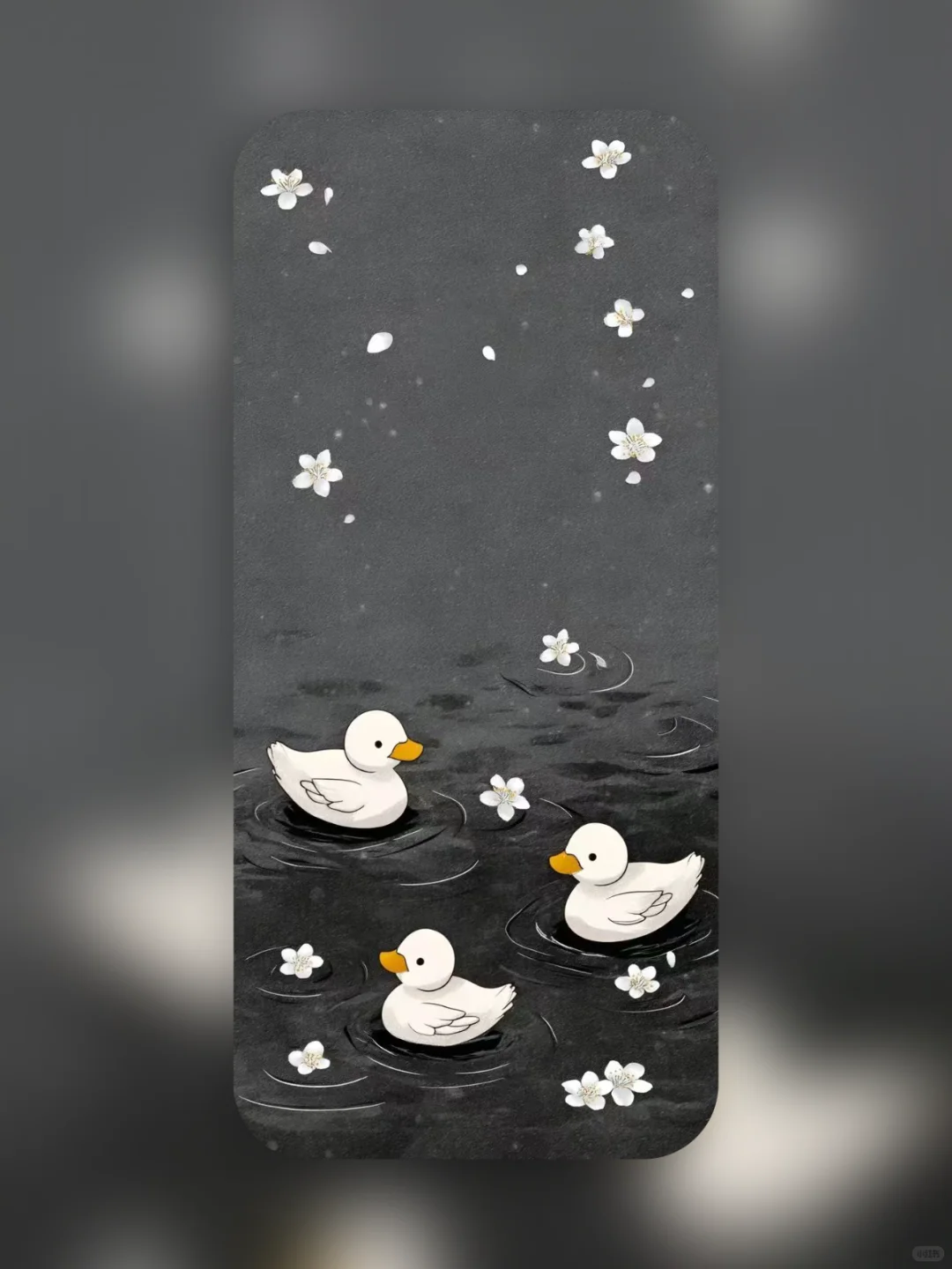 手机壁纸｜小鸭子