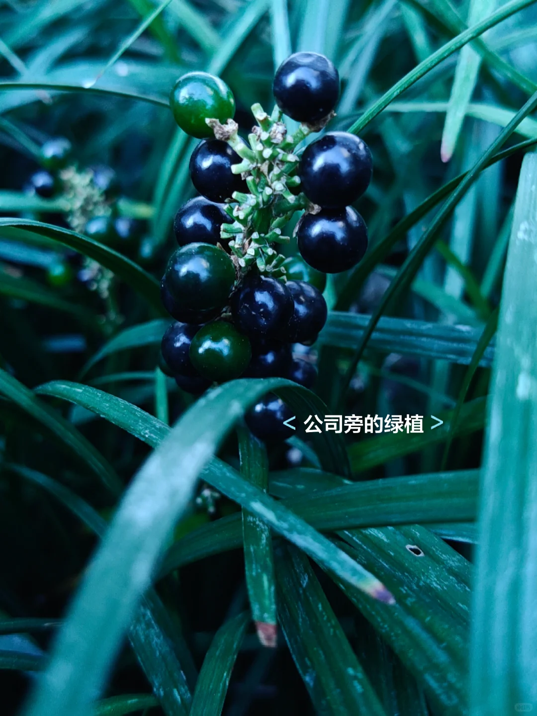 23女大学生勇闯IT圈