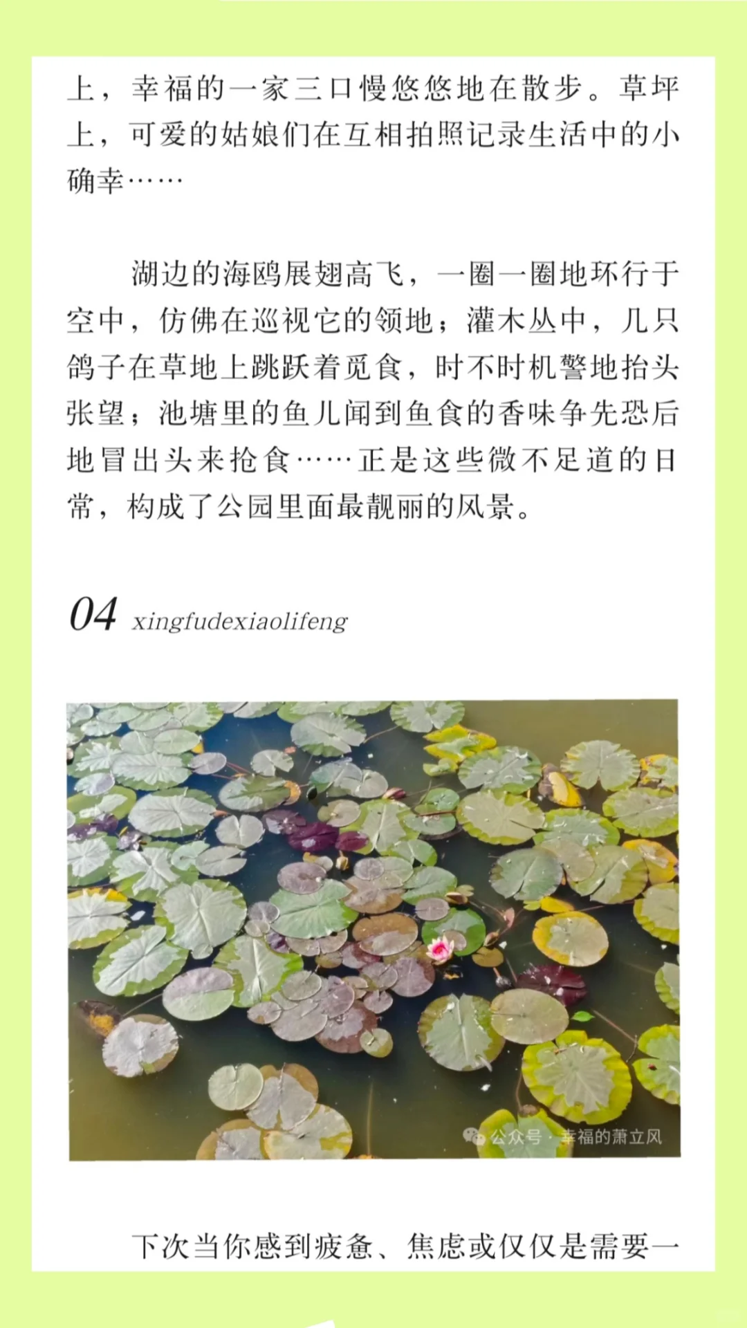 女大勇闯公众号|文章|公园|第六章