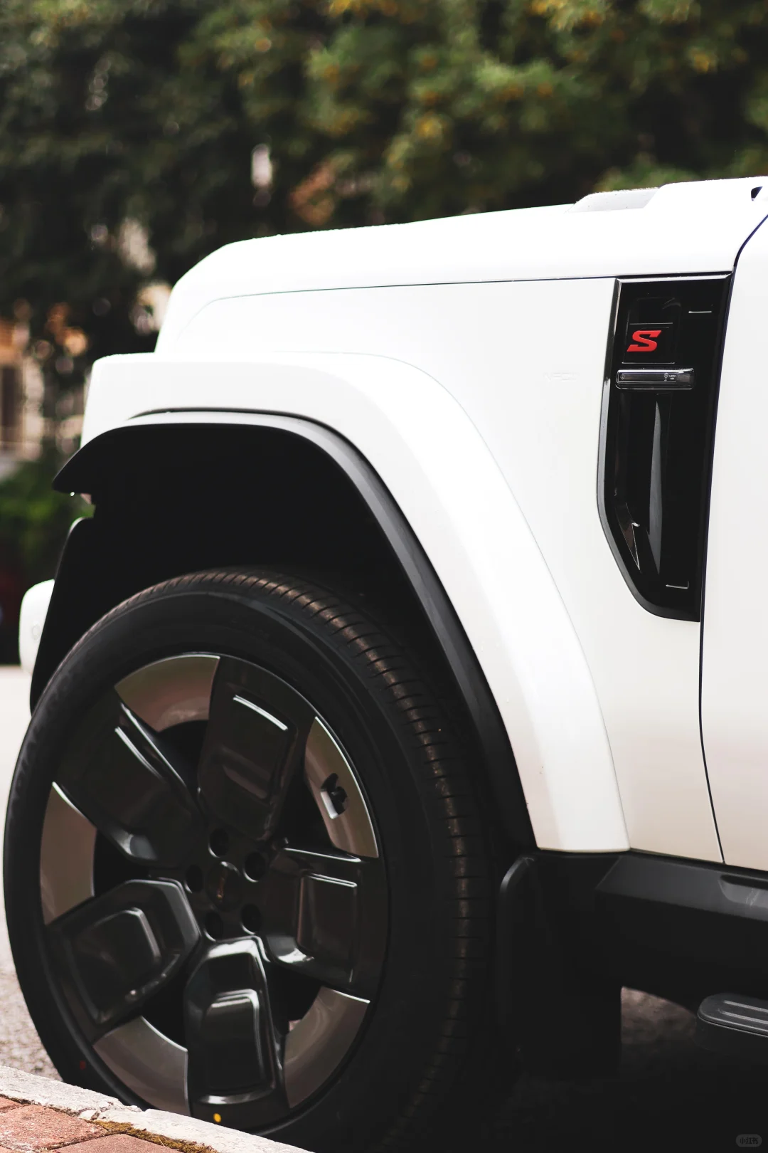 📸 白天 vs 夜晚，小白都好好拍！ ✨