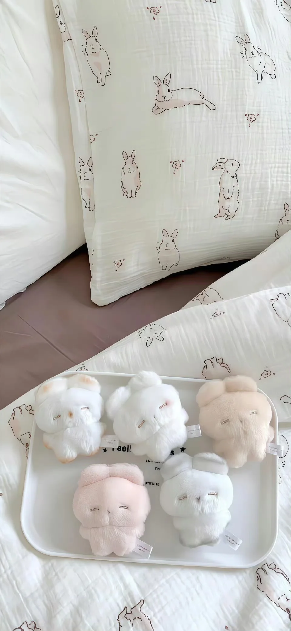 share｜ins风壁纸🐇