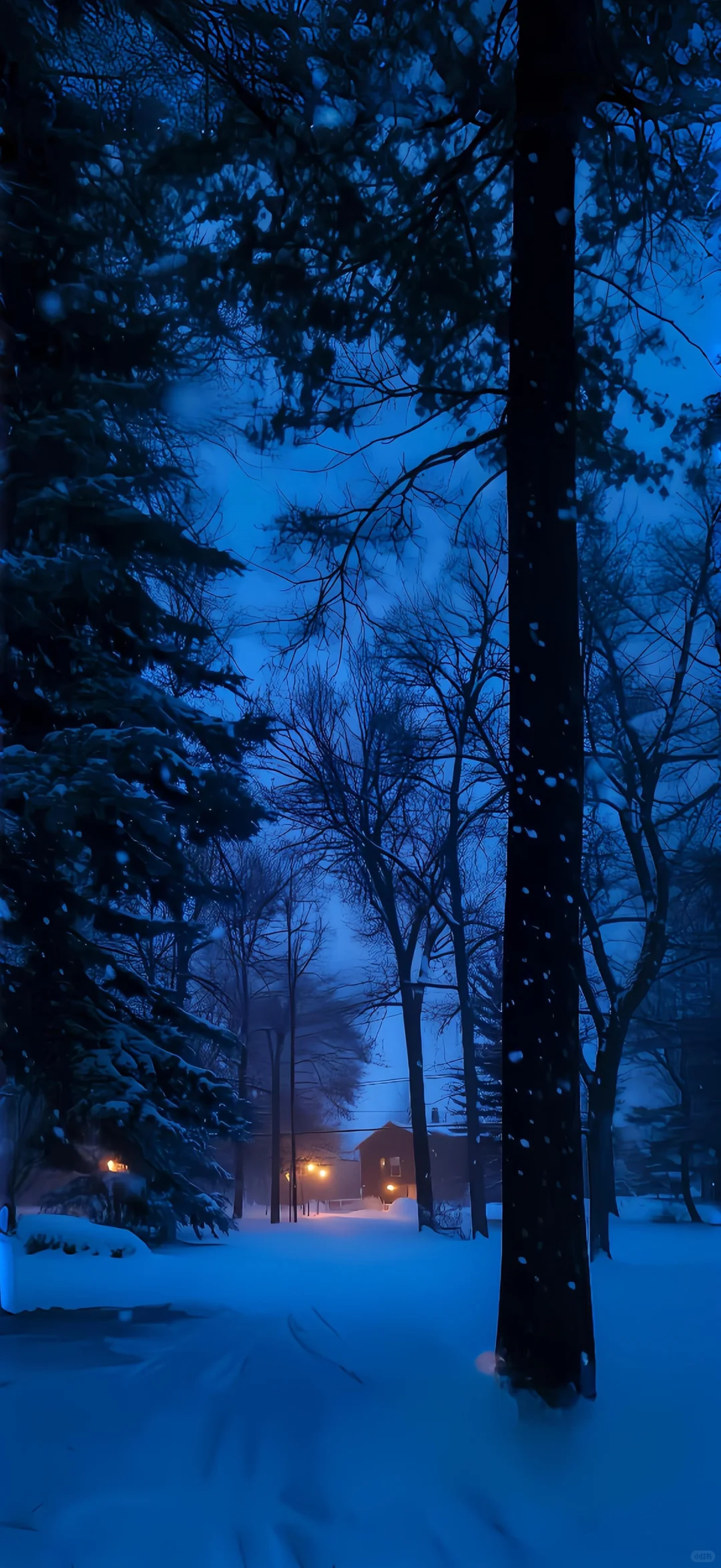 初冬氛围感壁纸