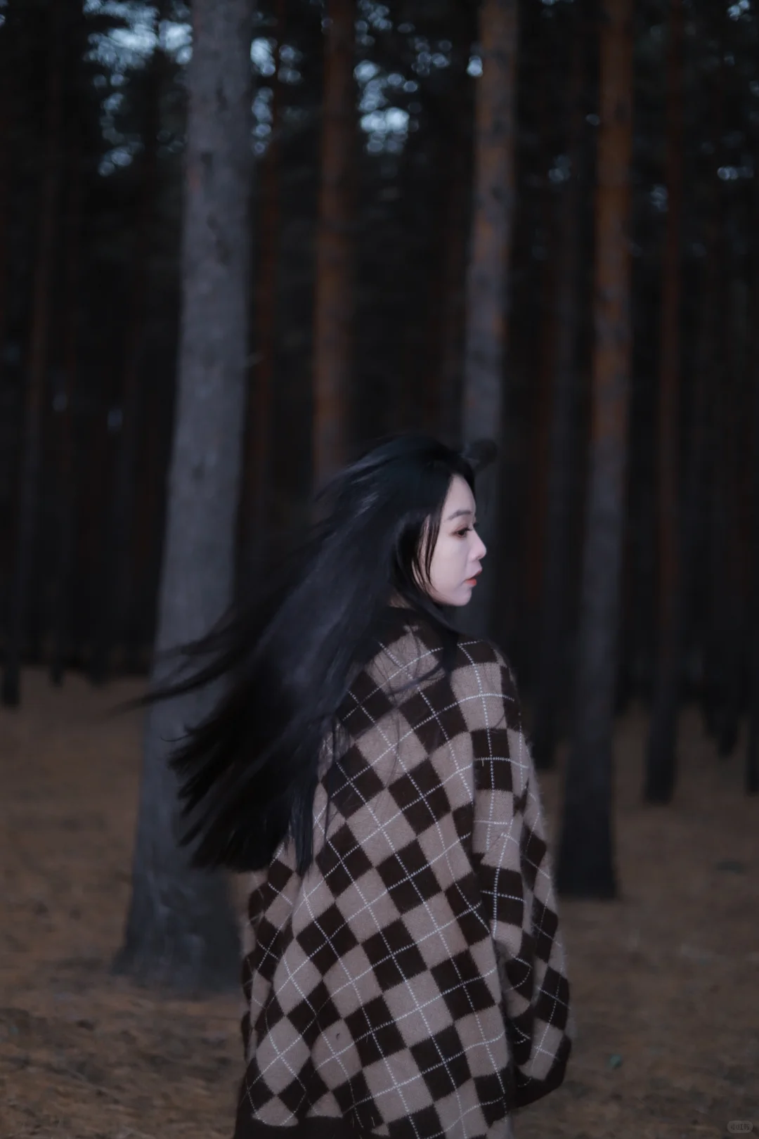 哈尔滨女摄约拍客片|人间忽晚，山河已秋