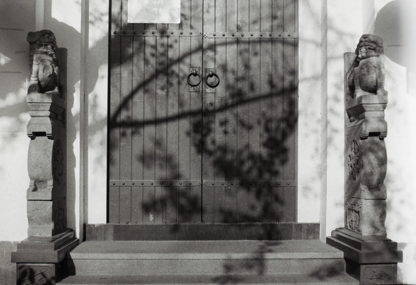 50岁的胶片浪漫：岁月从不败美人，只让她更