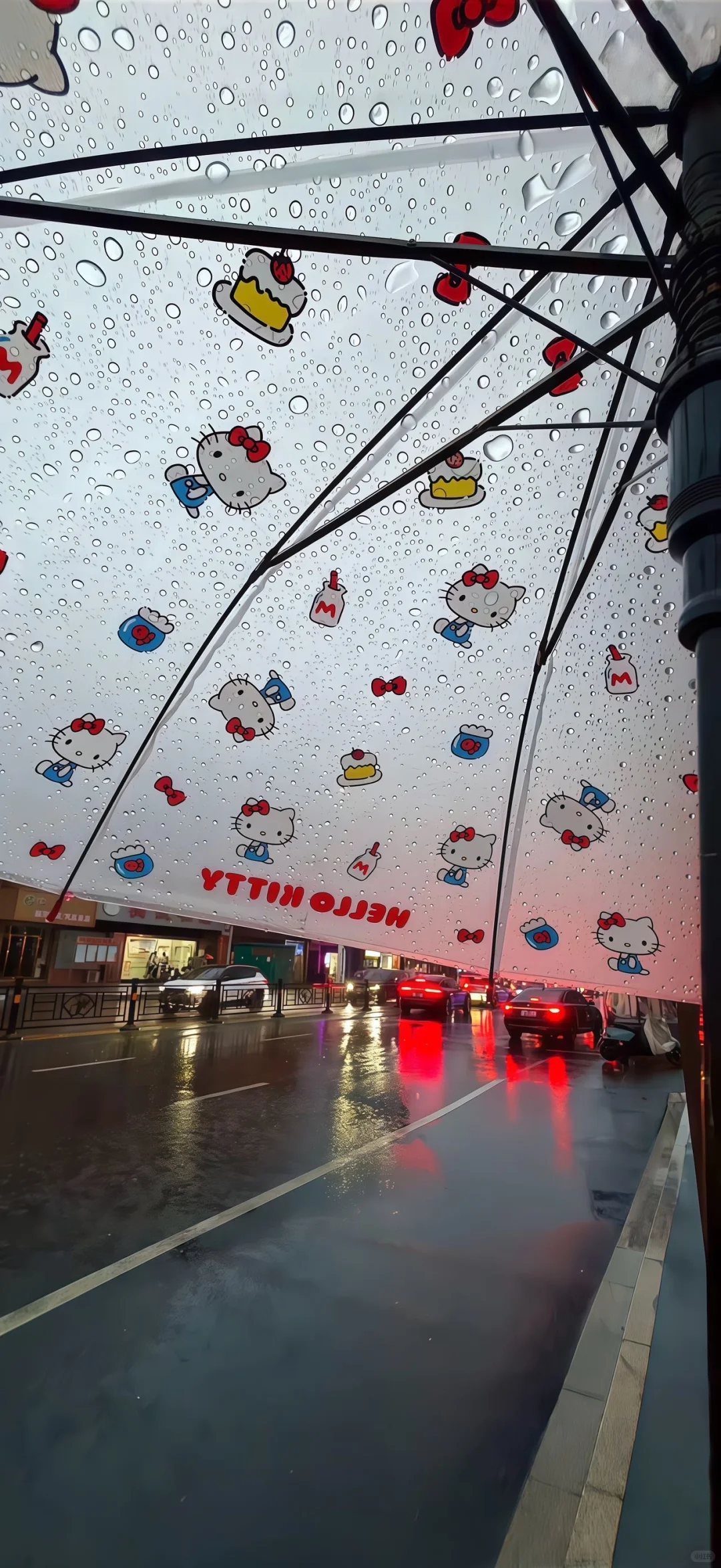 share｜ins风壁纸🐇