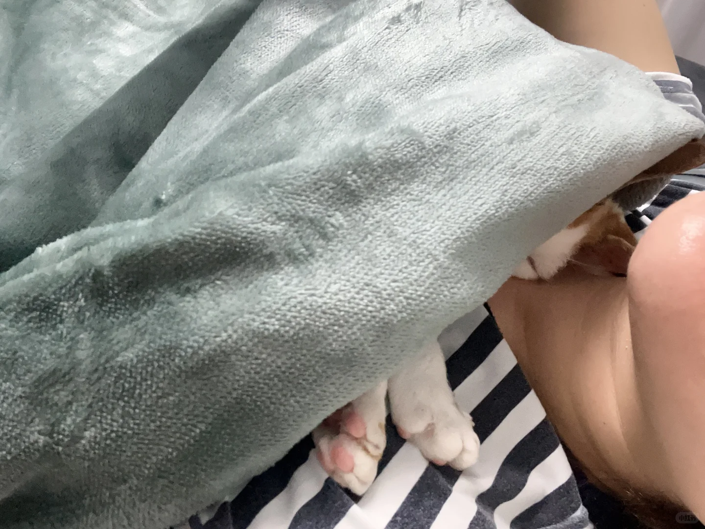 家人们，我要怎么去关灯