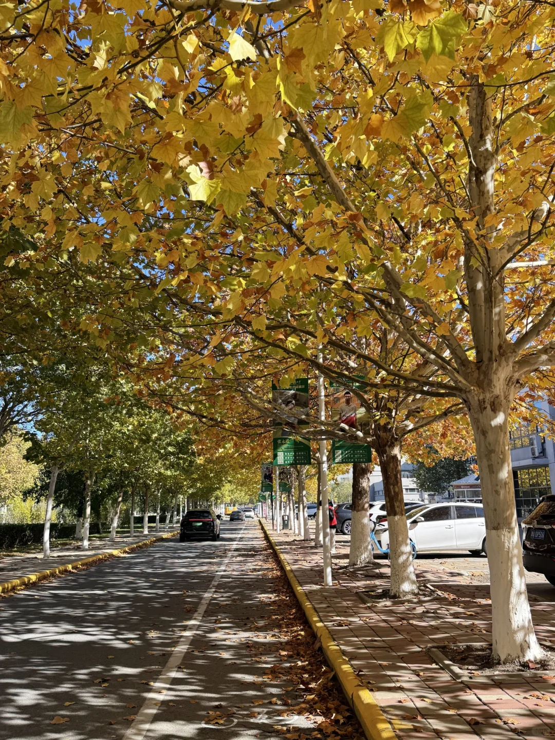 秋天就是属于幸福的季节🍂