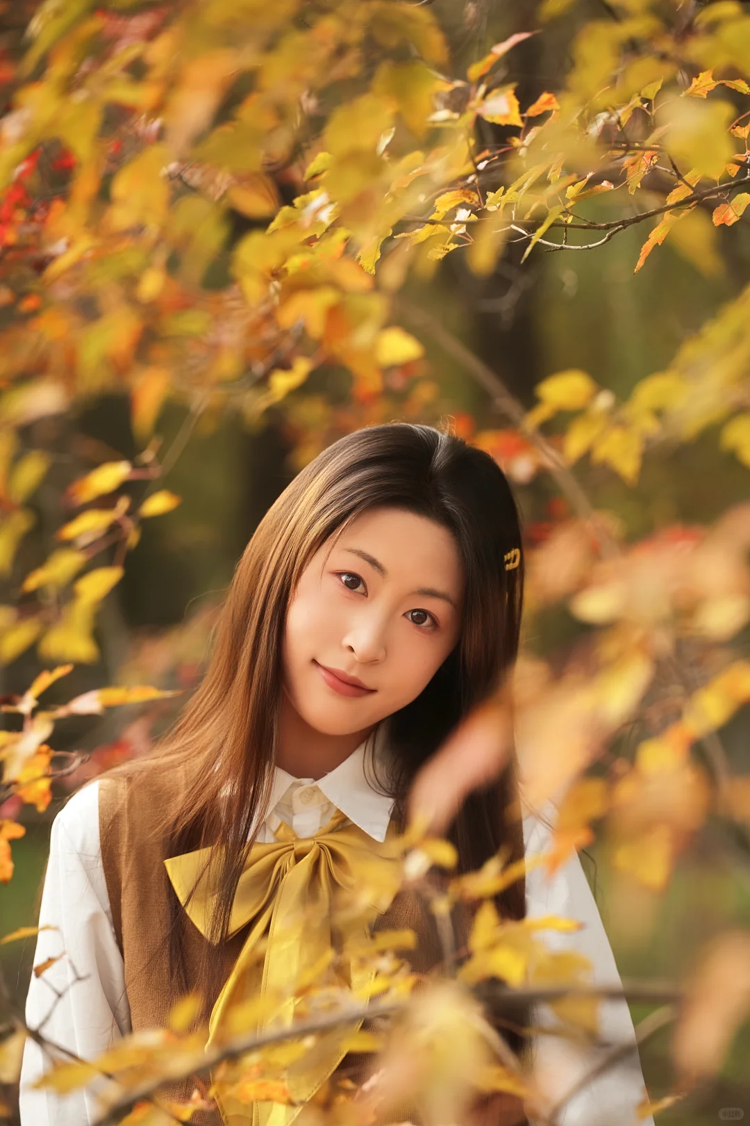 秋日JK少女与银杏的浪漫邂逅