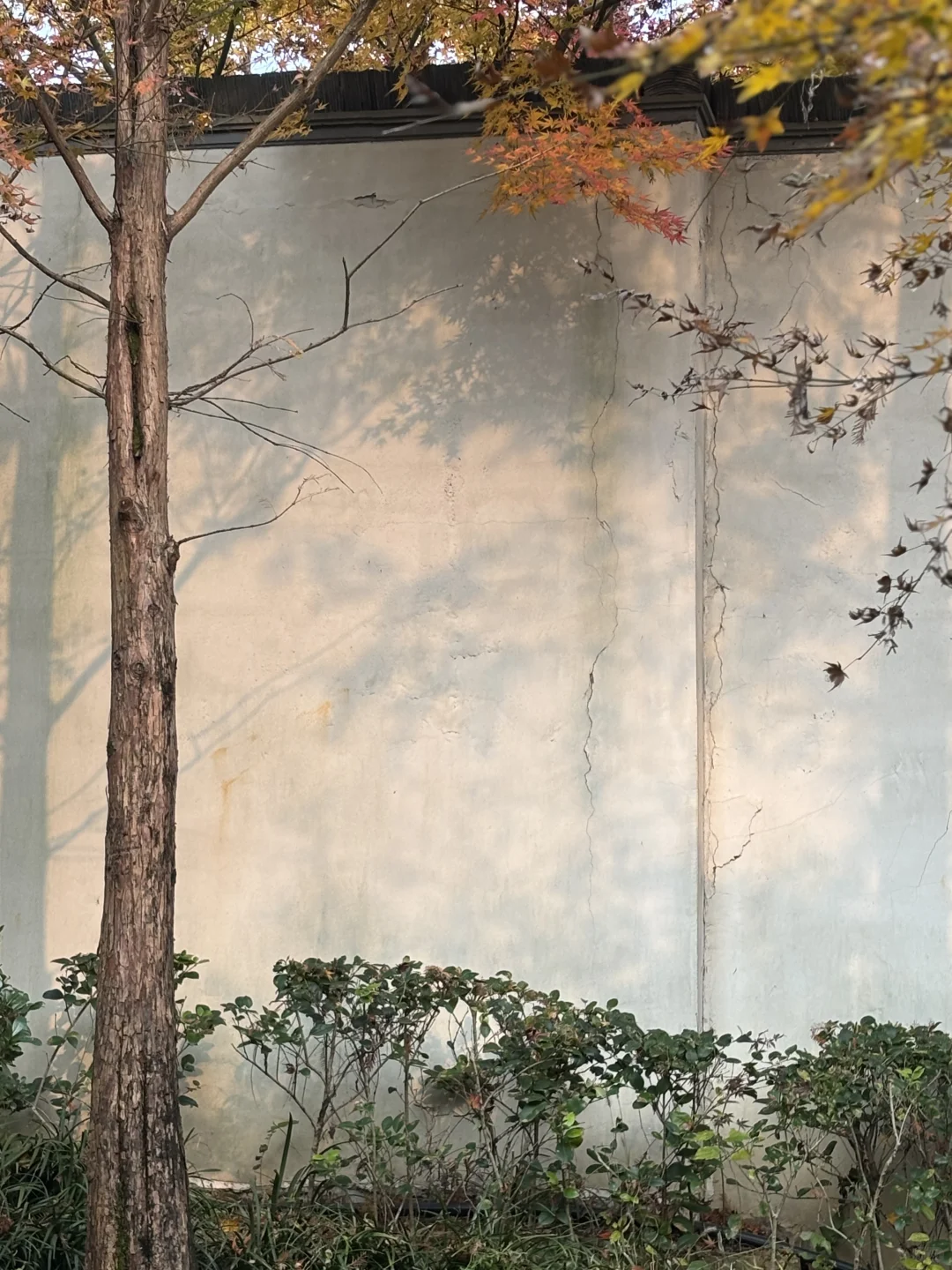 这一次 我们女孩子在一起跳舞绘画聊聊彼此