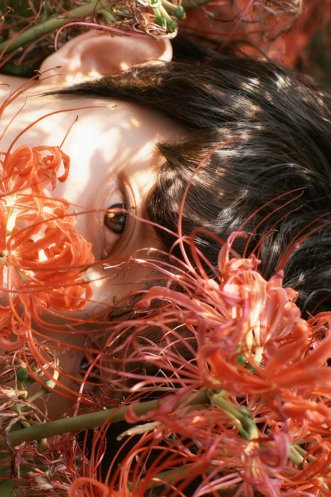 “溺花问夏 锁山吻秋”