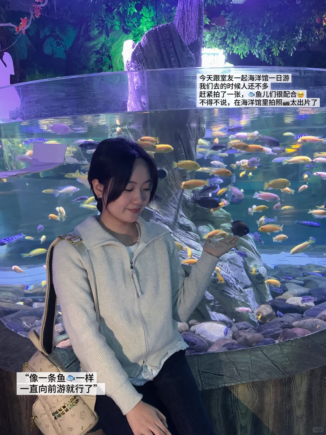 ISFJ 03女大｜当我开始享受我的大四校园生活