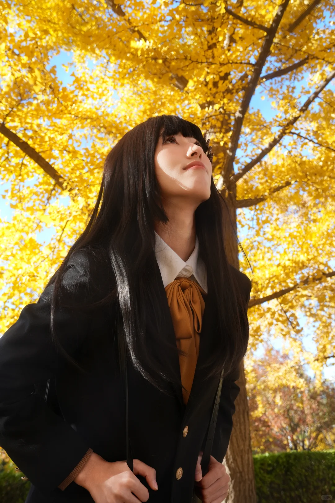 来和我一起赏 北平的秋吧