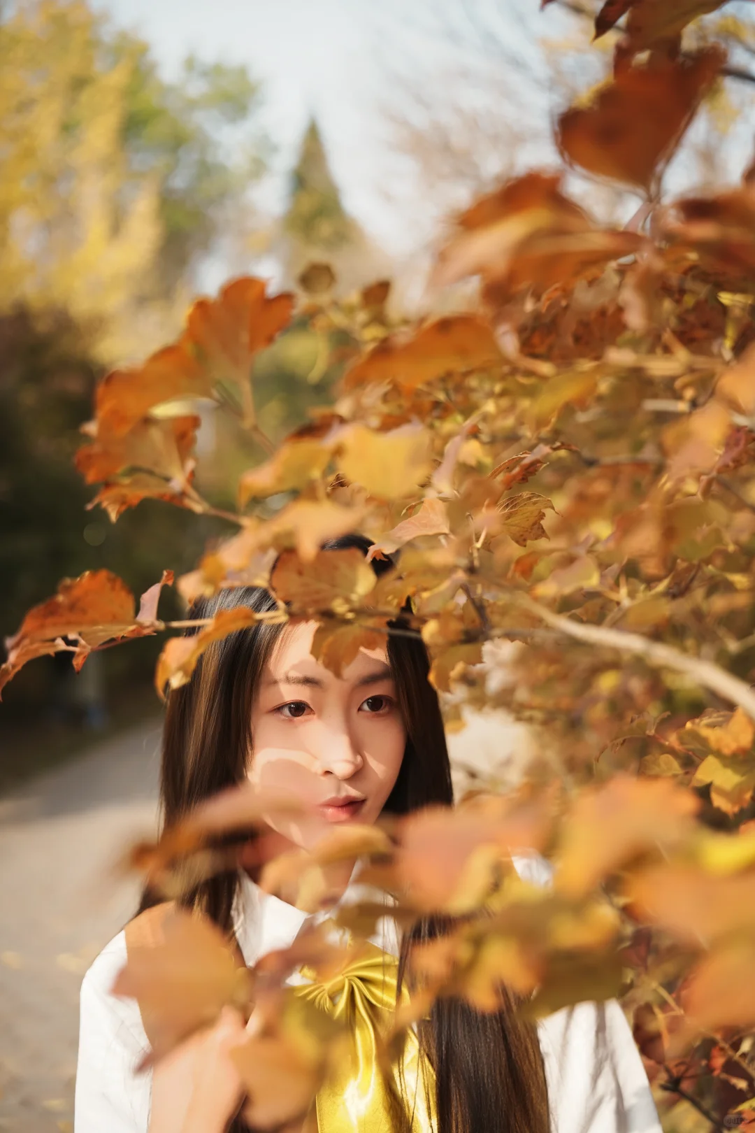 秋日JK少女与银杏的浪漫邂逅