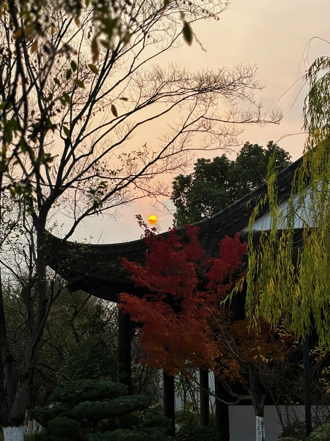 这一次 我们女孩子在一起跳舞绘画聊聊彼此