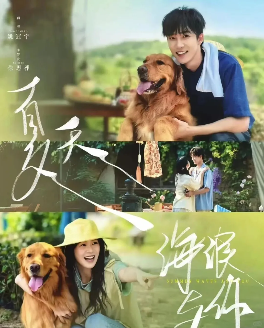 短剧细糠Top100封神榜（3）熬夜也得看