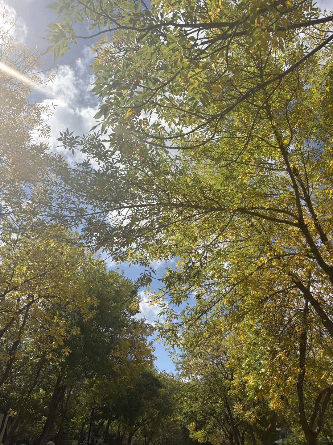 武侠 尝试写一次