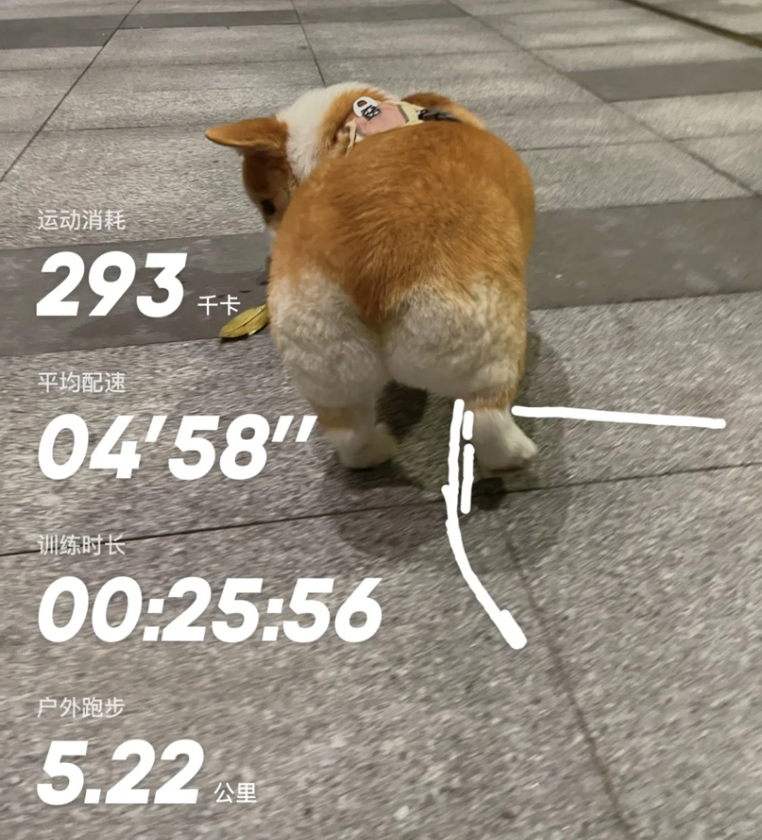 好好跑步！！！🏃‍♀️