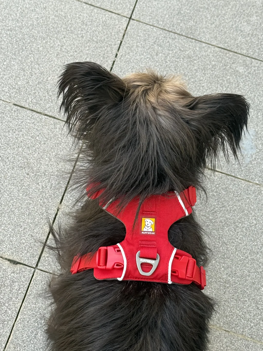 峡谷红，也不错。我们黑皮就要妖艳的颜色