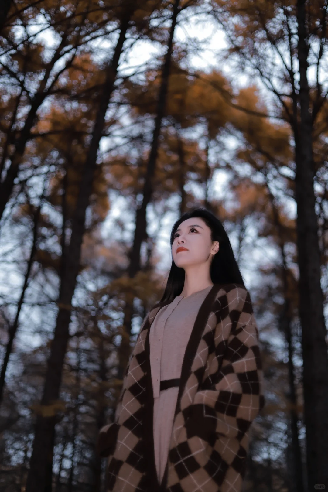 哈尔滨女摄约拍客片|人间忽晚，山河已秋